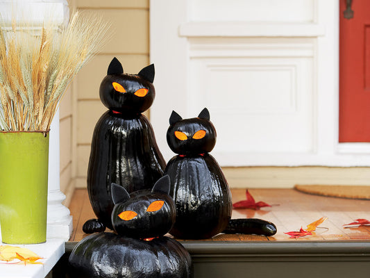 Gourd-jus Kitty