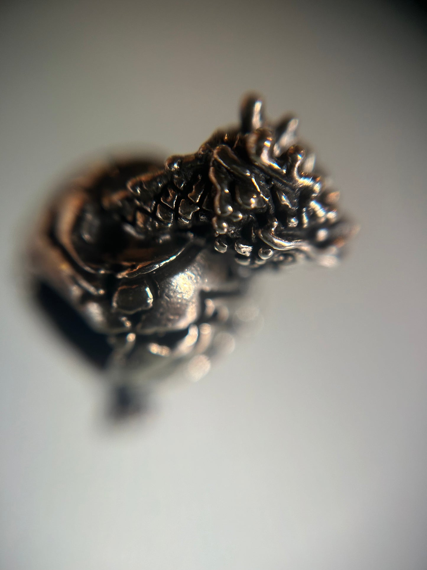 Hatching Dragon #2
