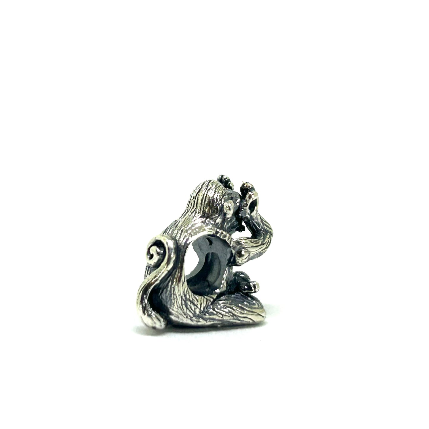 Monkey - See No Evil
