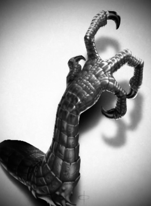 Dragon Claw Set