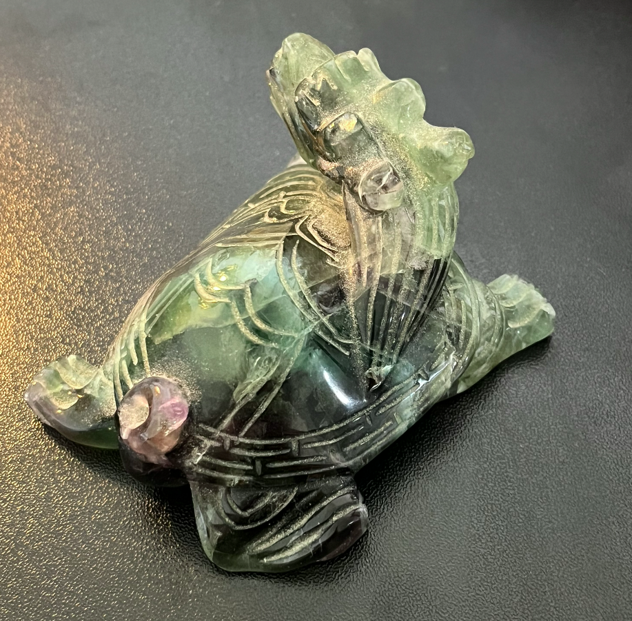 OHM Dragon-Turtle