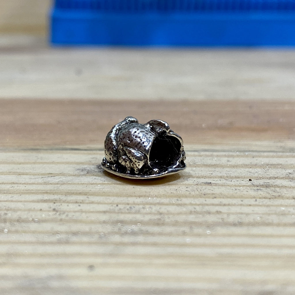 Leftovers 2012031561