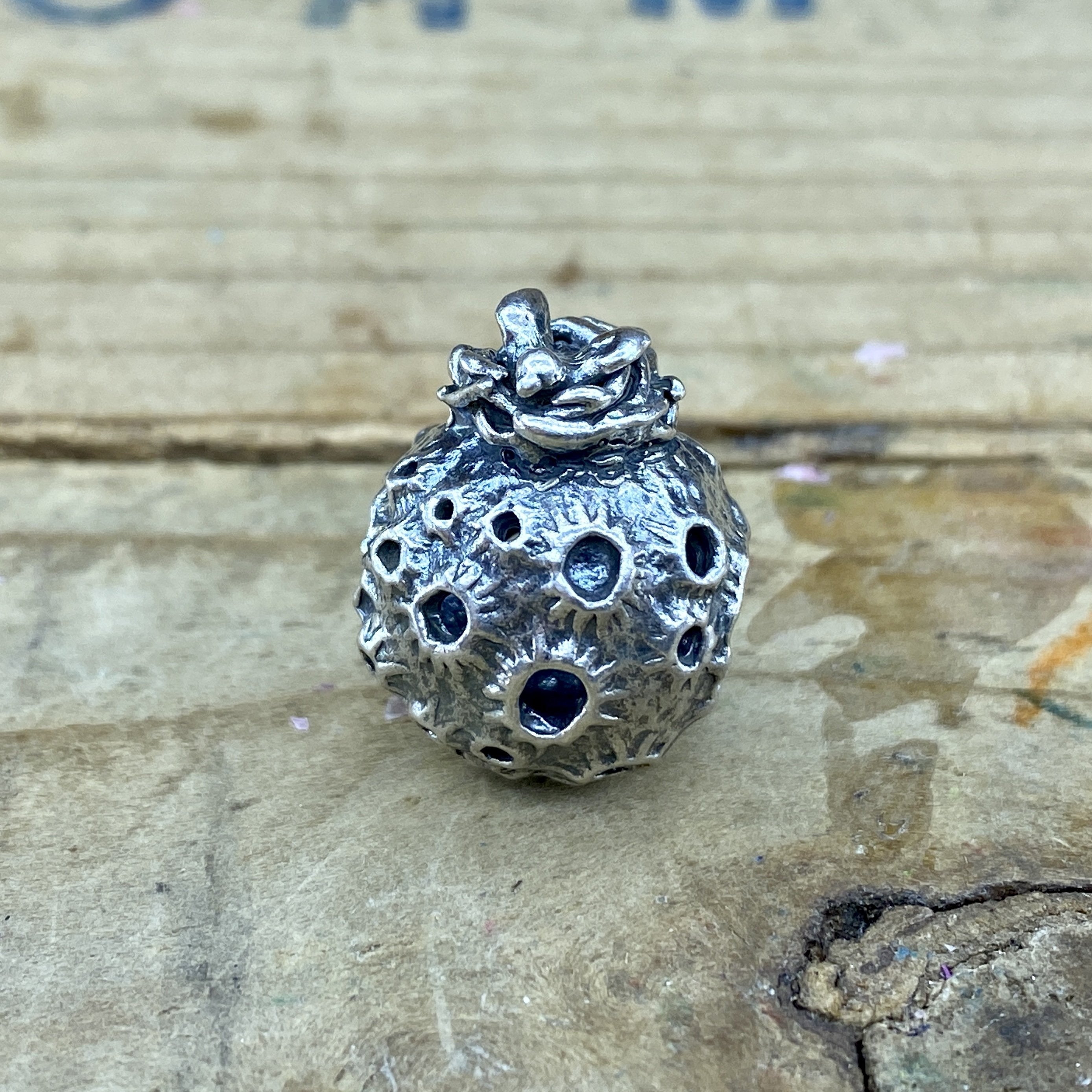 A Nest on the Moon