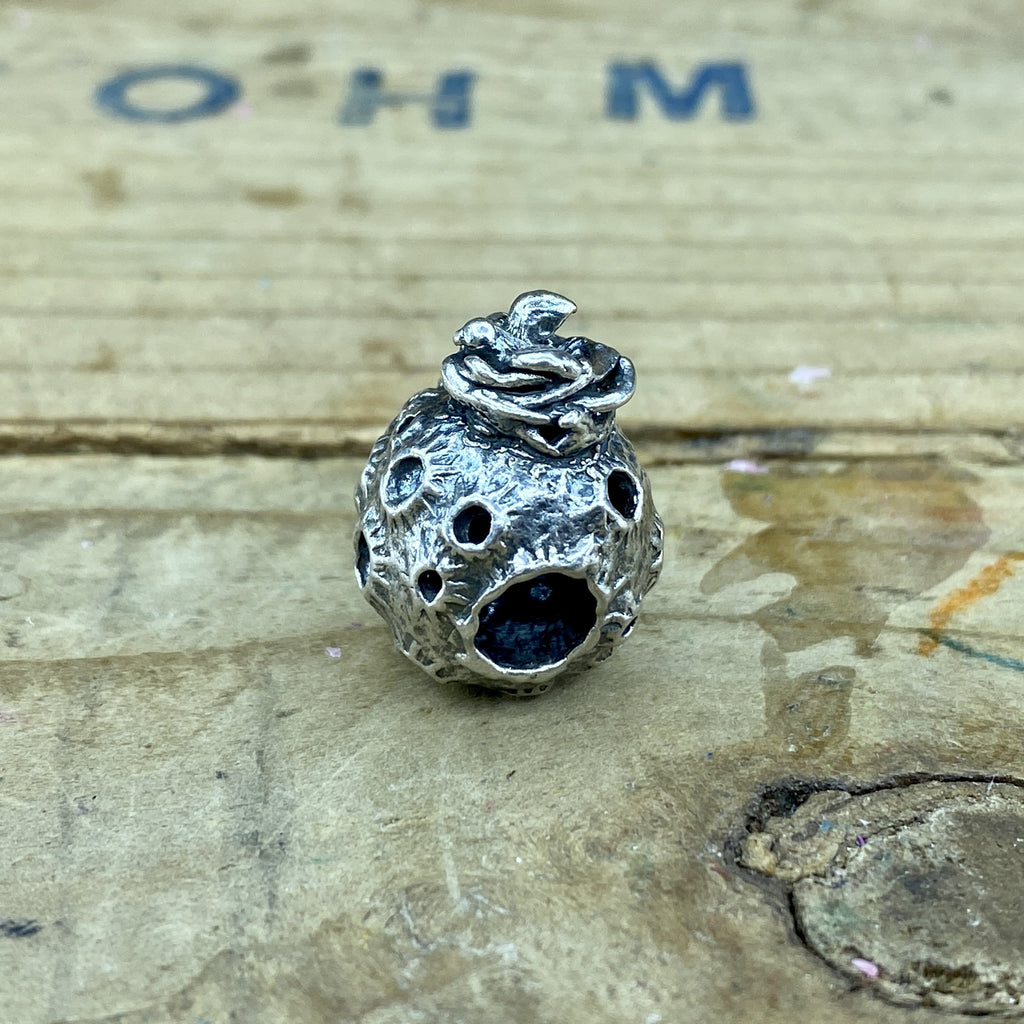 A Nest on the Moon