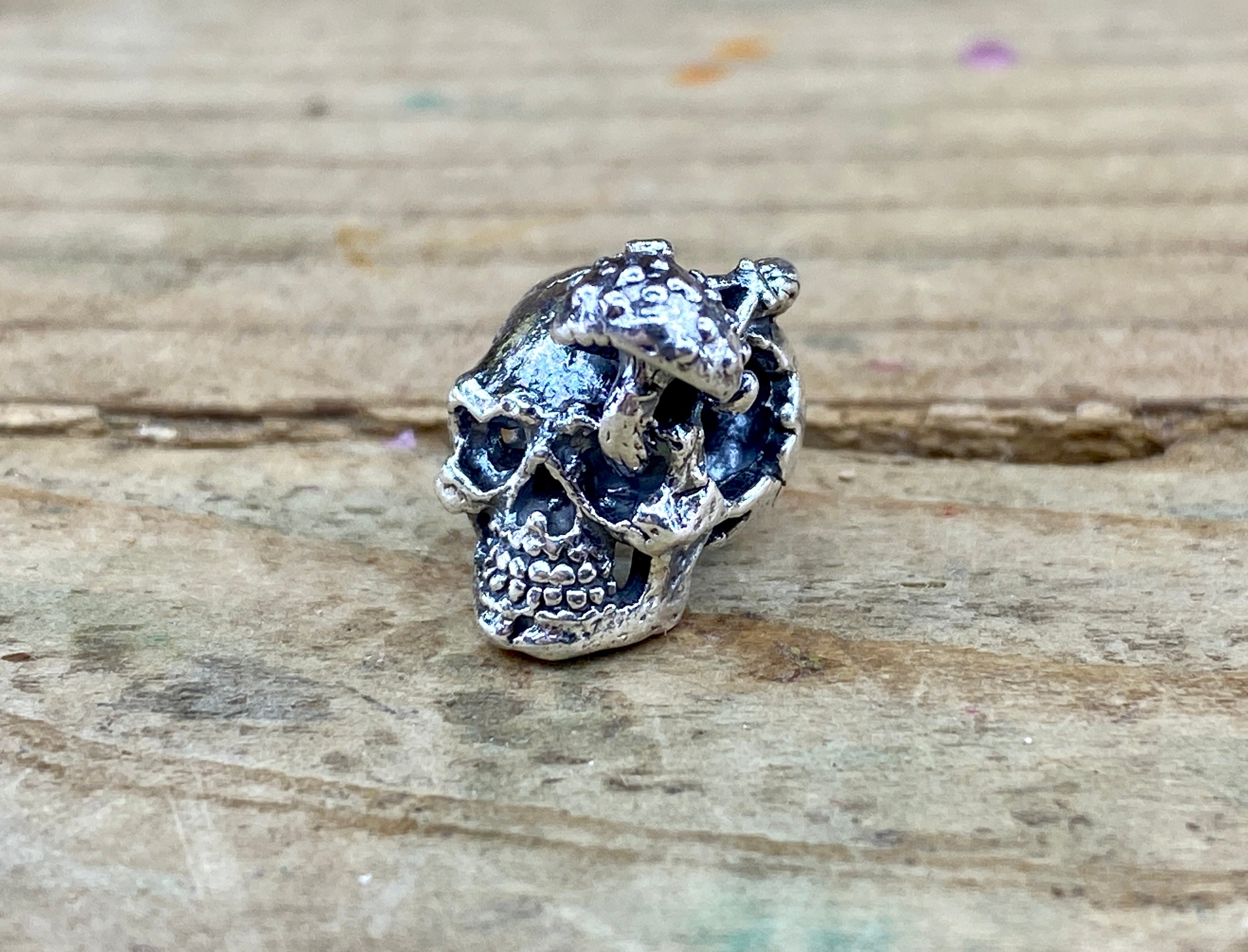 Shroom Skull 2110141514