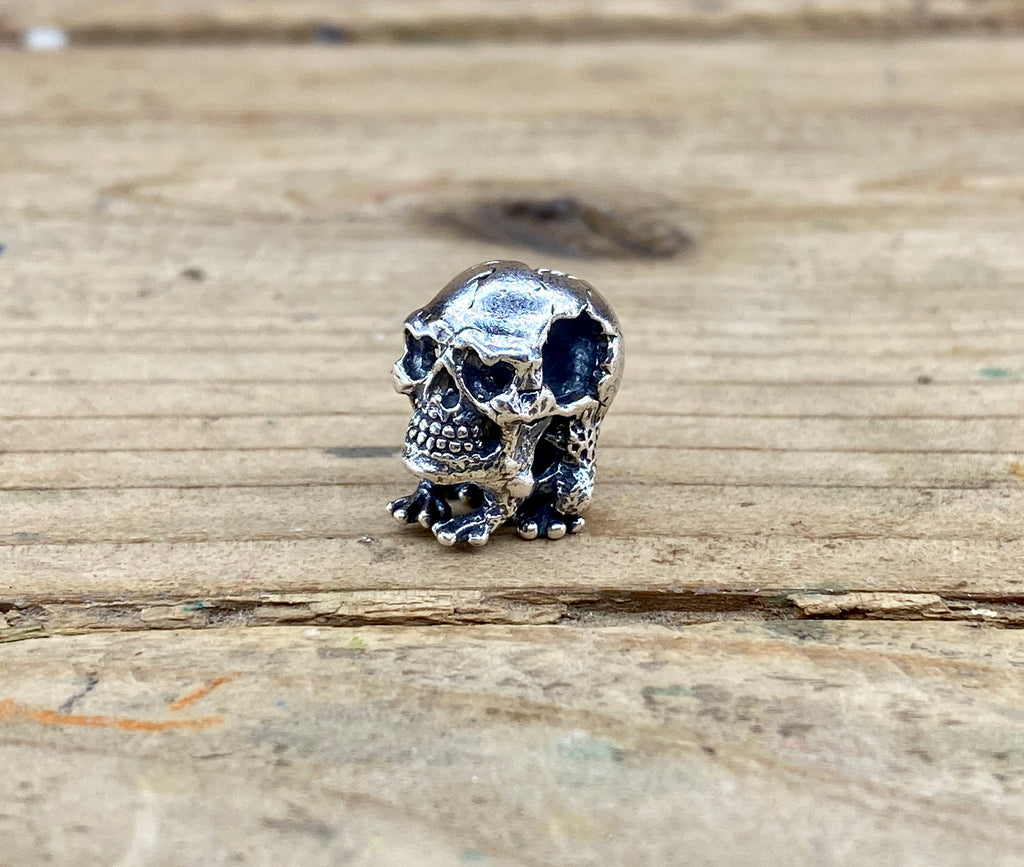 Toad Skull 2111181236