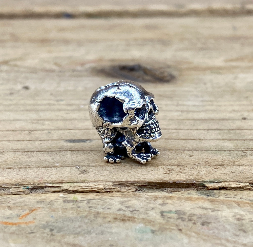 Toad Skull 2111181236