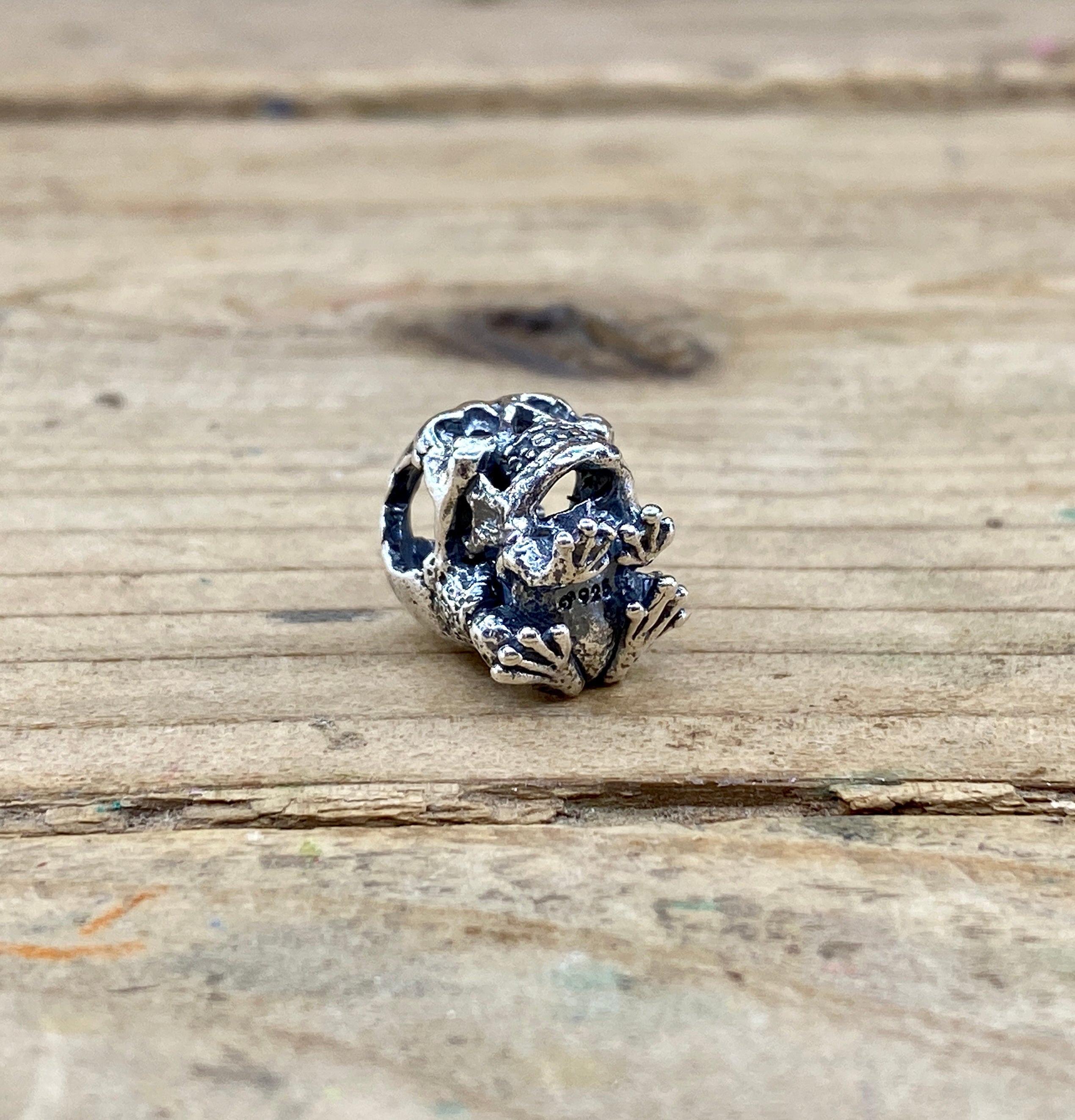 Toad Skull 2111181236