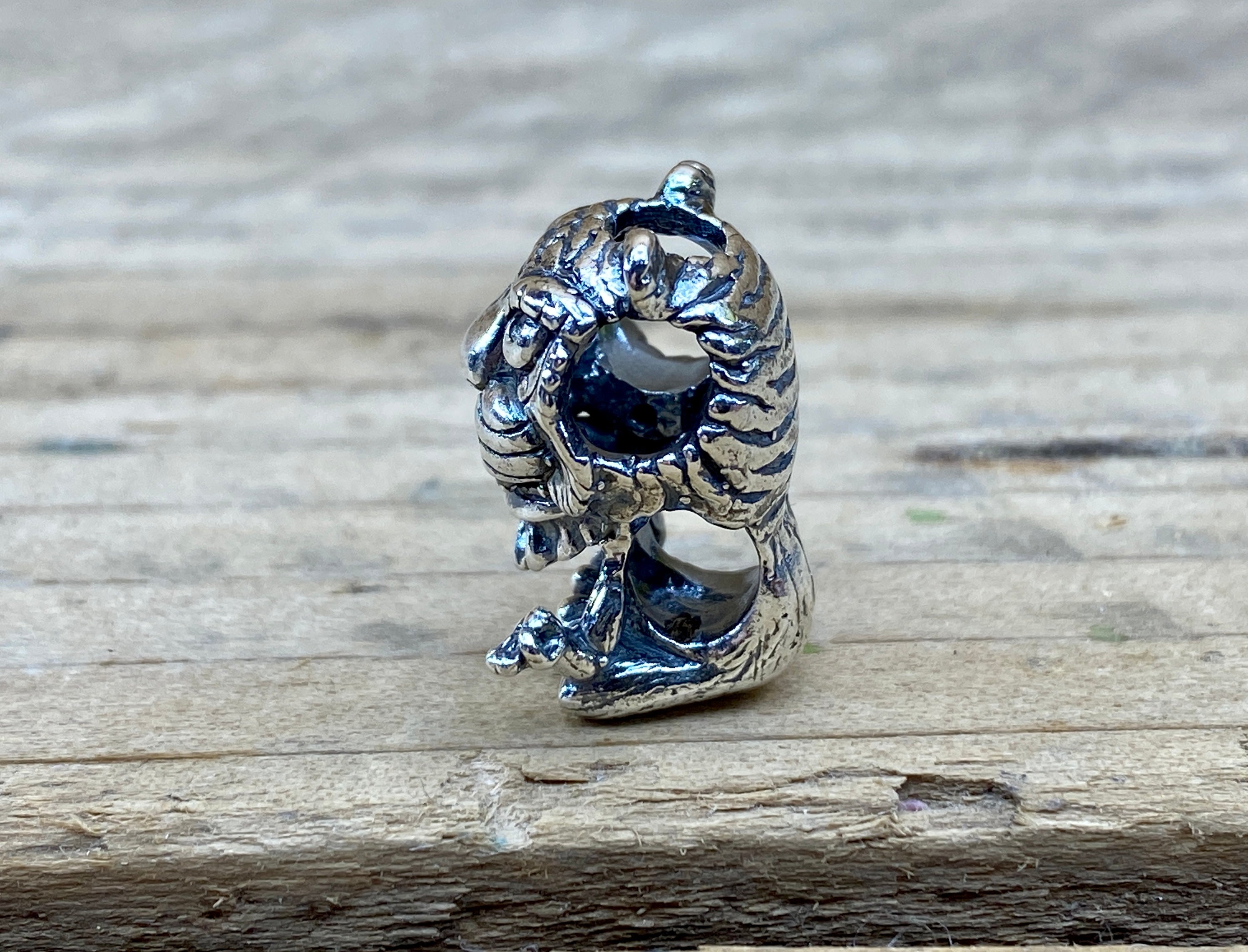 Zen Tiger 2204282024