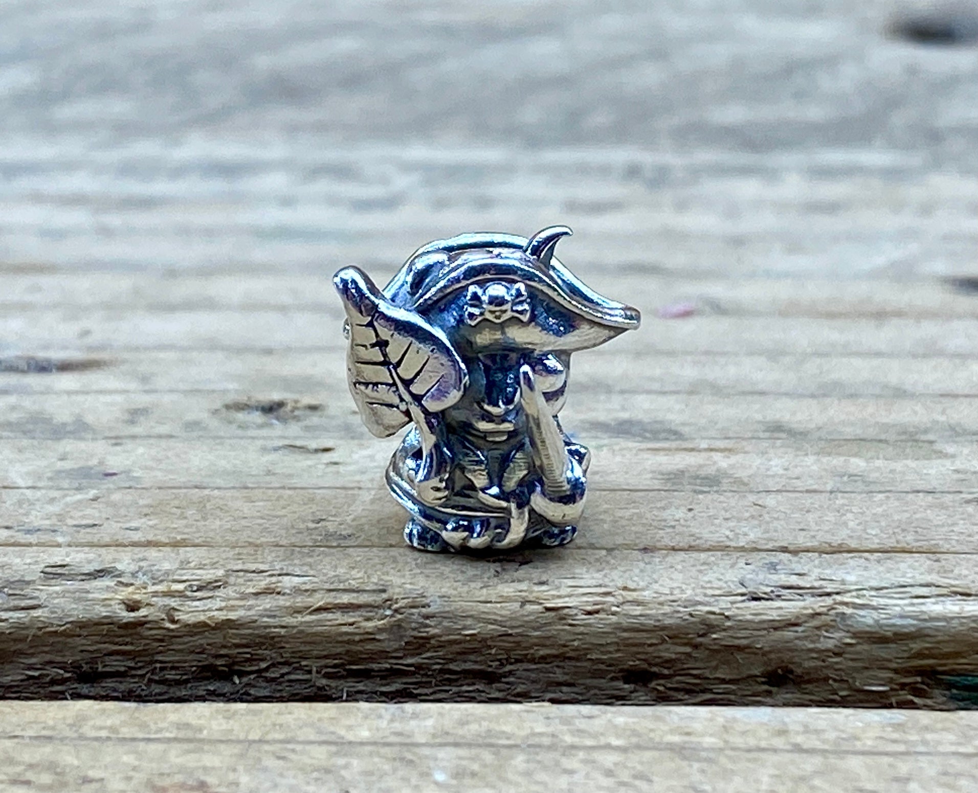 Pirate Gardener 2205191807