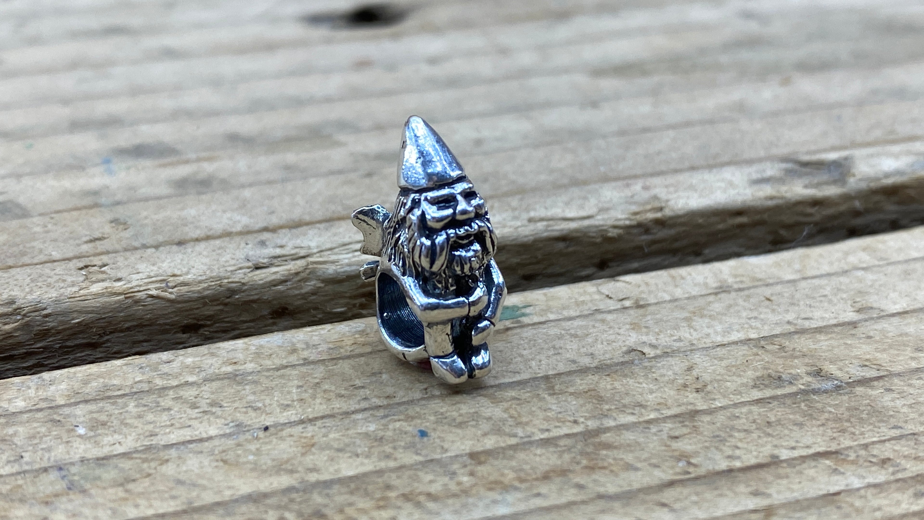 Fairy Gnome 2206091743