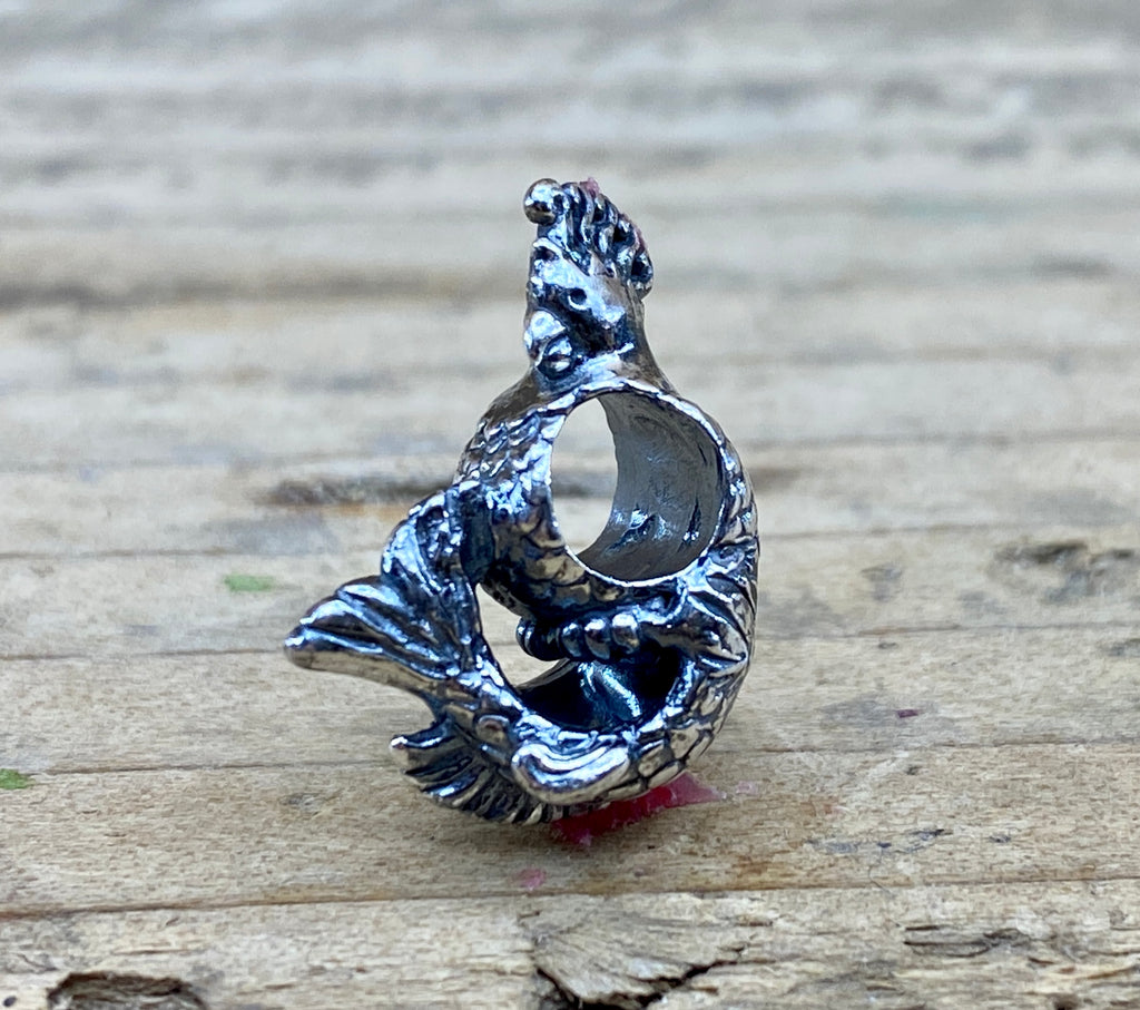 Parrot Fish 2207211909