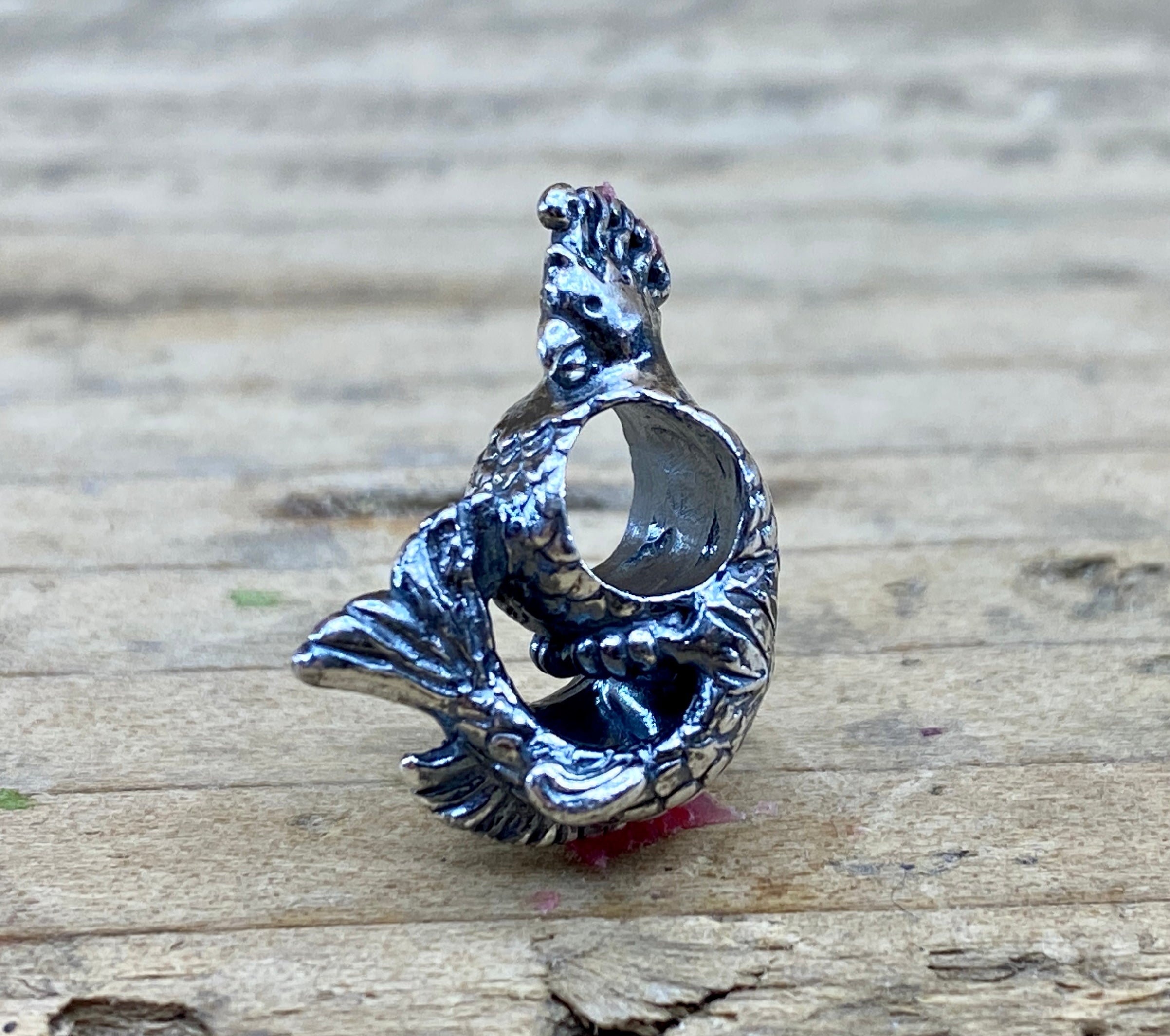 Parrot Fish 2207211909