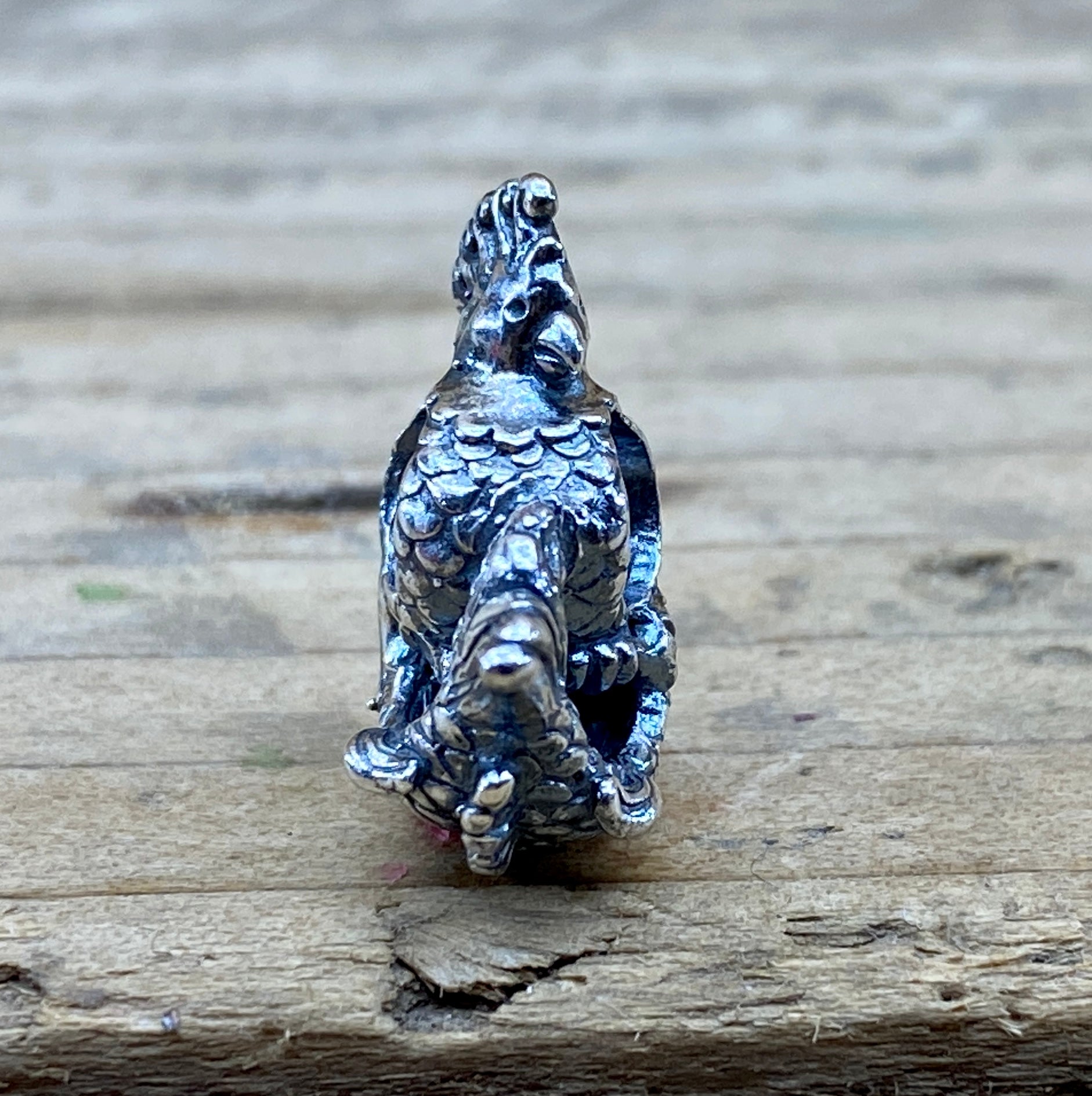 Parrot Fish 2207211909