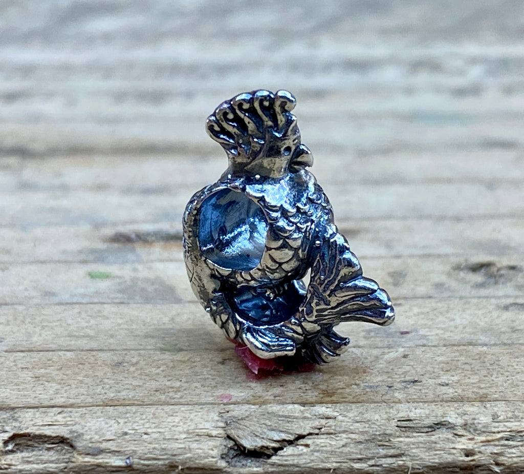 Parrot Fish 2207211909