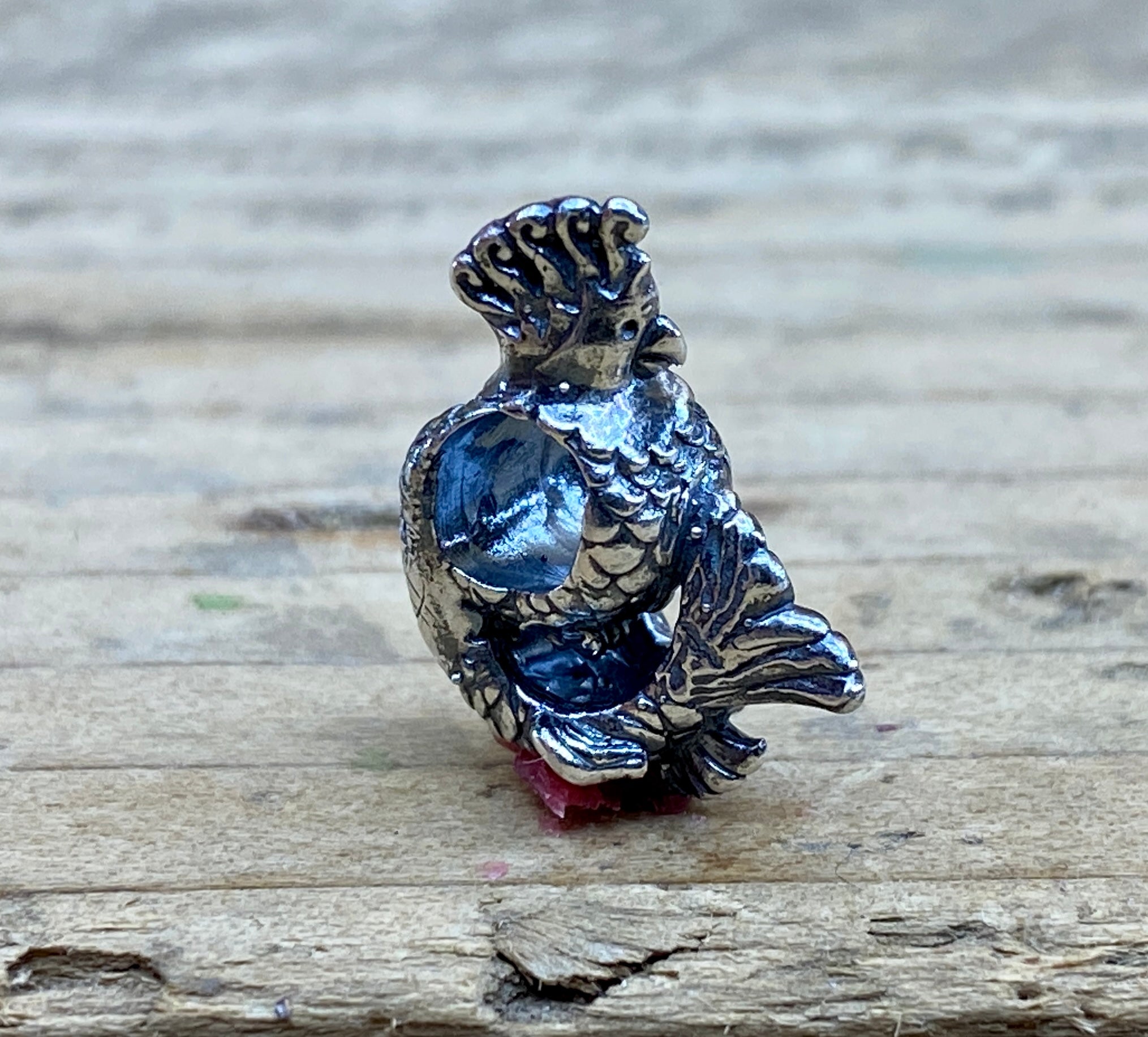 Parrot Fish 2207211909